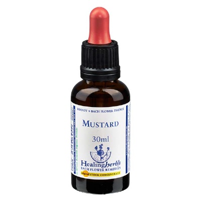 Bild 21 Mustard 30ml HealingHerbs